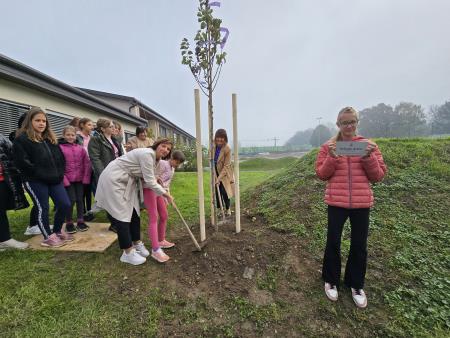 Rožnati oktober_sajenje drevesa 2024 (5)